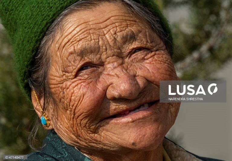 Dia Mundial da Diversidade Cultural para o Diálogo e o Desenvolvimento