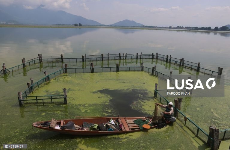 Índia: Vida quotidina no Lago Dal na Caxemira