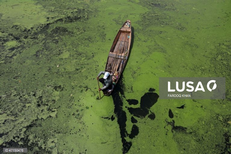 Índia: Vida quotidina no Lago Dal na Caxemira