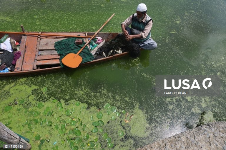 Índia: Vida quotidina no Lago Dal na Caxemira
