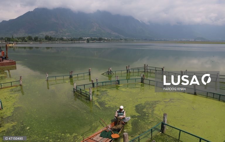 Índia: Vida quotidina no Lago Dal na Caxemira