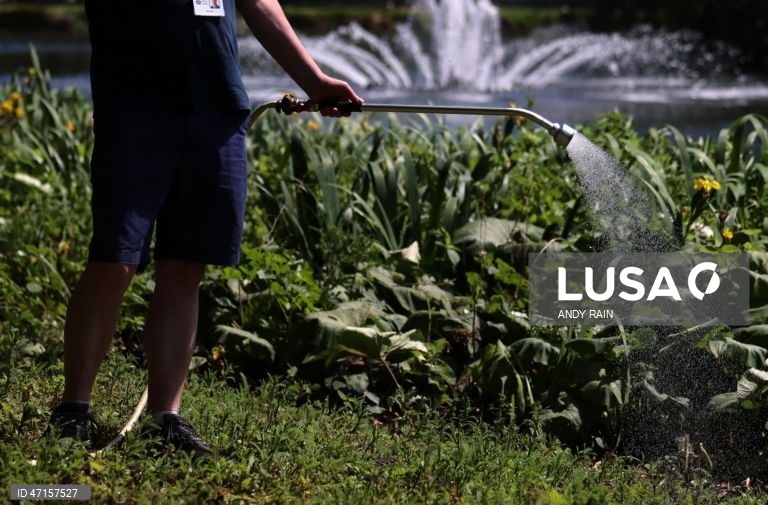 Onda de calor no Reino Unido
