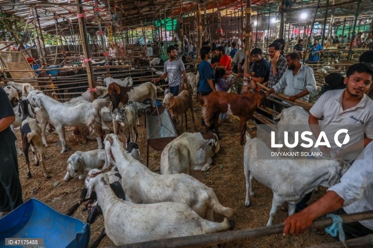 Mumbai: Preparações para o Eid al-Adha