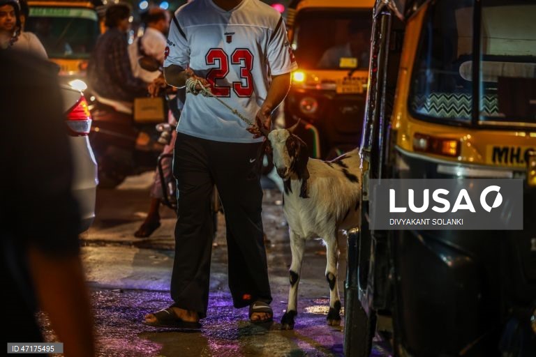 Mumbai: Preparações para o Eid al-Adha