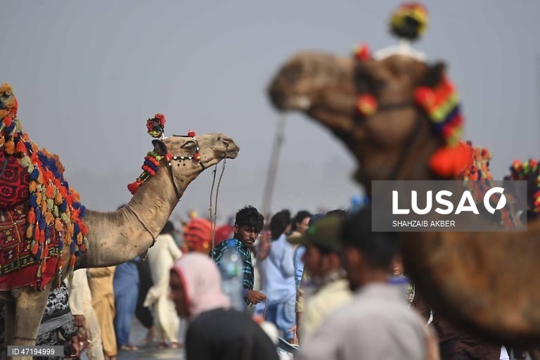 Paquistaneses celebram o Eid al-Adha em Carachi
