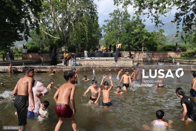 Índia: A vida quotidiana em Srinagar na Caxemira