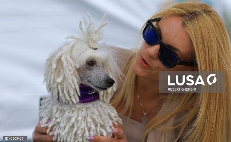 Competição na Exposição Canina de Bucareste 2026, na aldeia de Balotesti, perto de Bucareste, Roménia.