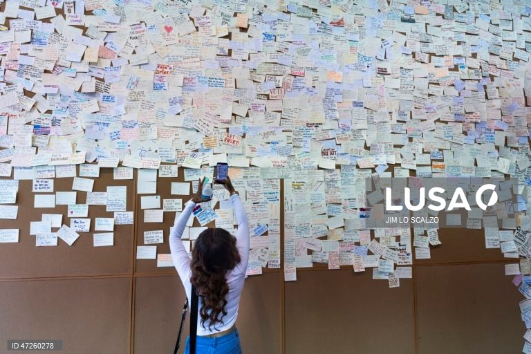 Exposição «Sala de Leitura Memorial Donald J. Trump e Jeffrey Epstein» em Washington, DC, EUA. A exposição itinerante está aberta em Washington de 9 a 12 de junho. 