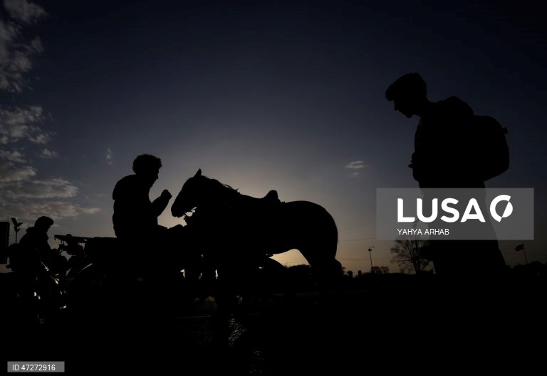 Iémen: Passeios a cavalo em Saná ao por do sol