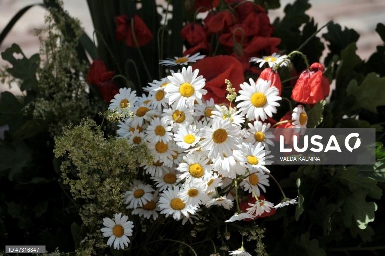 Letónia: Mercado tradicional de ervas e plantas na véspera das celebrações do solstício de verão.