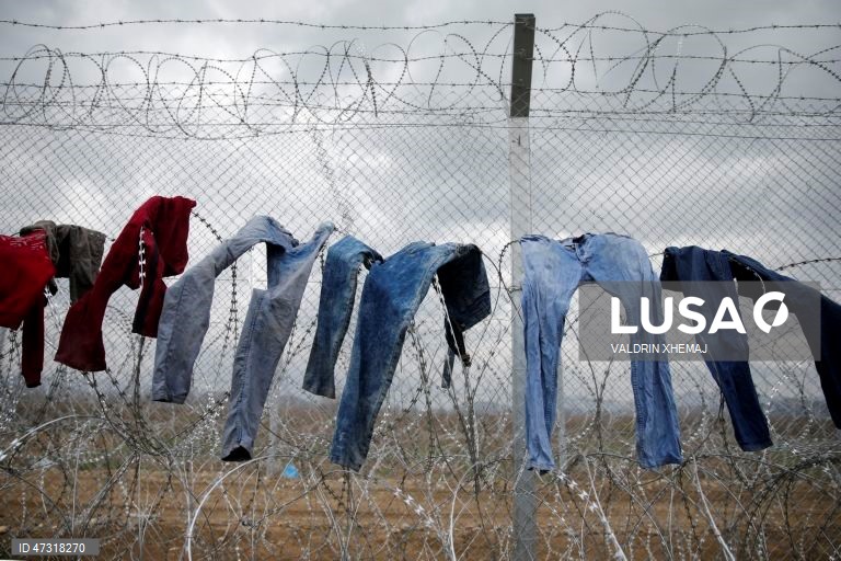 Dia Mundial dos Refugiados a 20 de junho