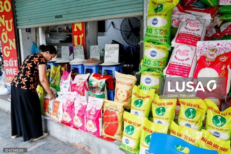 Vietname: Comércio tradicional de arroz em Hanoi