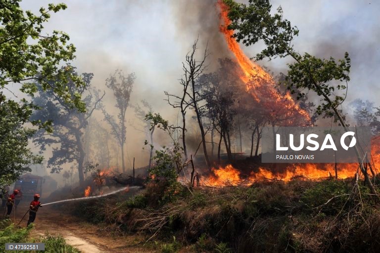 Portugal Incêndios 