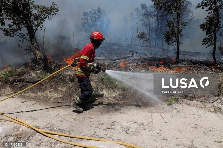 Portugal Incêndios 