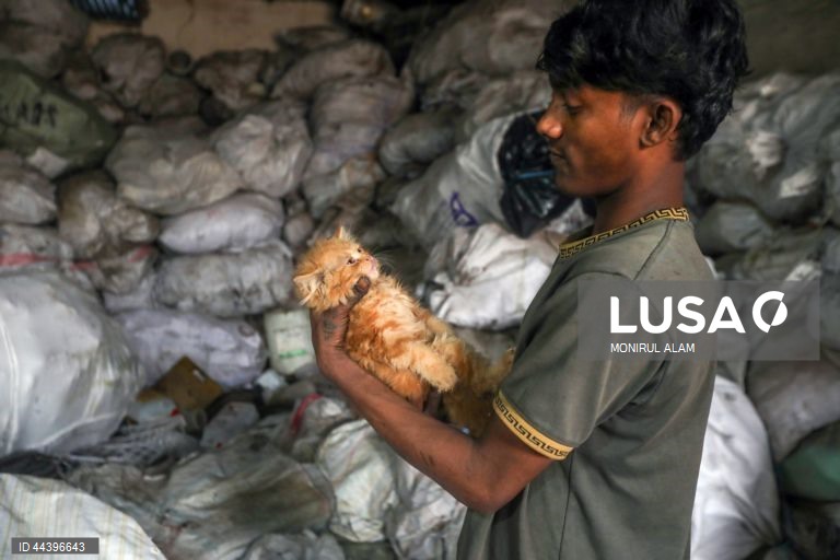 Bangladesh: Reciclagem de materiais plásticos em Daca