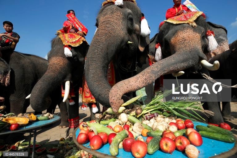 Tailândia assinala o Dia Nacional do Elefante