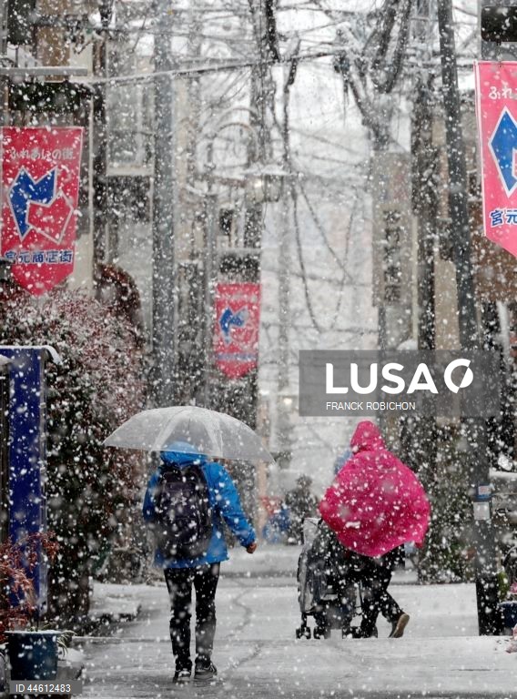Japão: Queda de neve em Tóquio