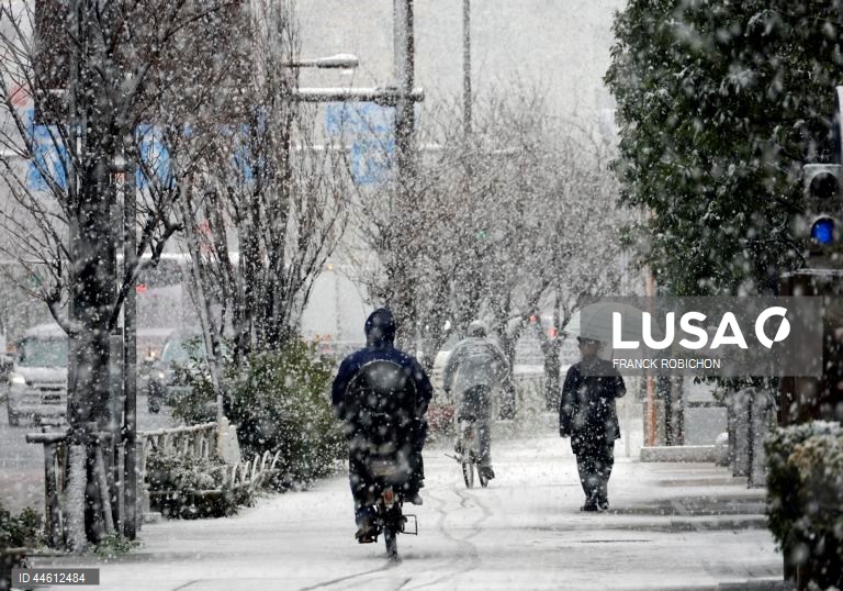 Japão: Queda de neve em Tóquio