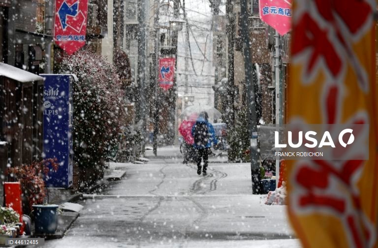 Japão: Queda de neve em Tóquio