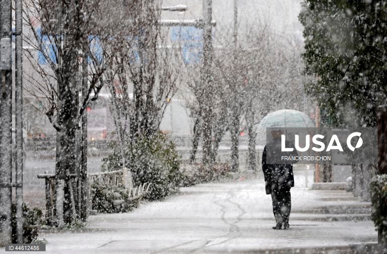 Japão: Queda de neve em Tóquio