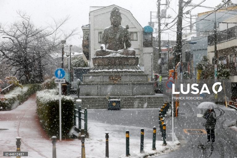 Japão: Queda de neve em Tóquio