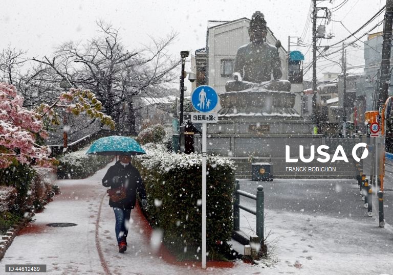 Japão: Queda de neve em Tóquio