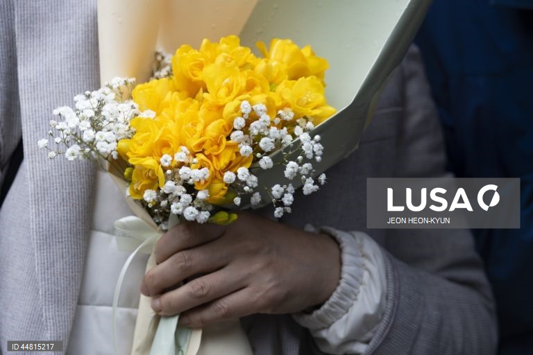 Homenagens ao Papa Francisco