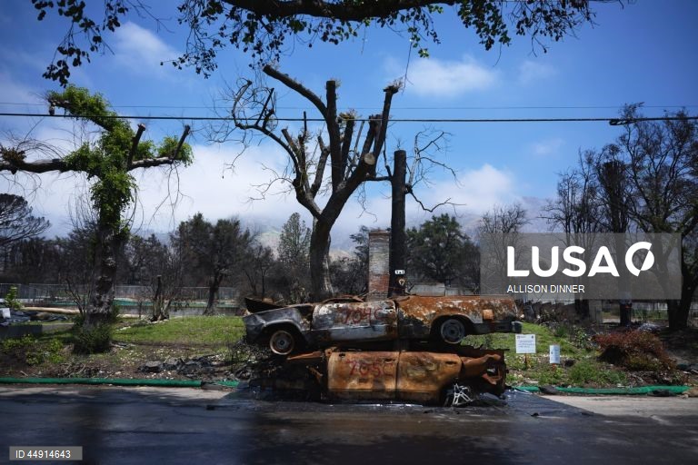 EUA: Área de Los Angeles devastada pelos incêndios de janeiro deste ano