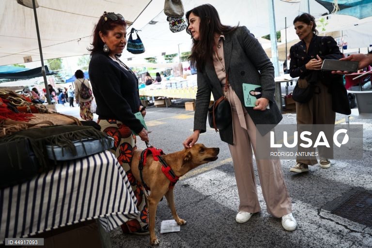 Portugal: Campanha Eleições Legislativas