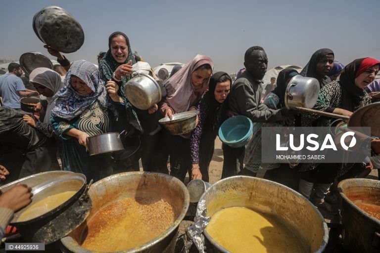 Faixa de Gaza: Distribuição de alimentos em Jabalia