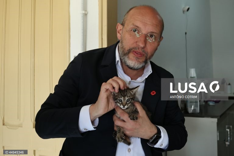 Portugal: Campanha eleitoral