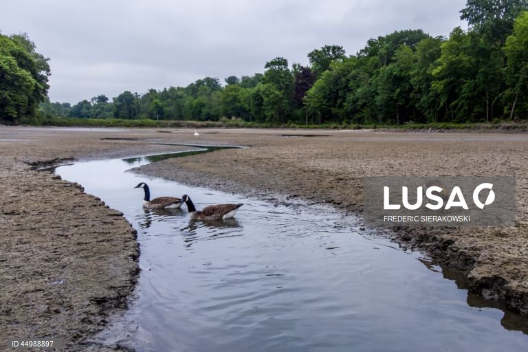 Bélgica: Lagos secos em Oud-Heverlee