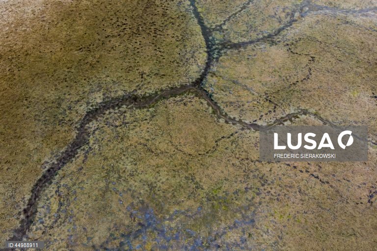 Bélgica: Lagos secos em Oud-Heverlee