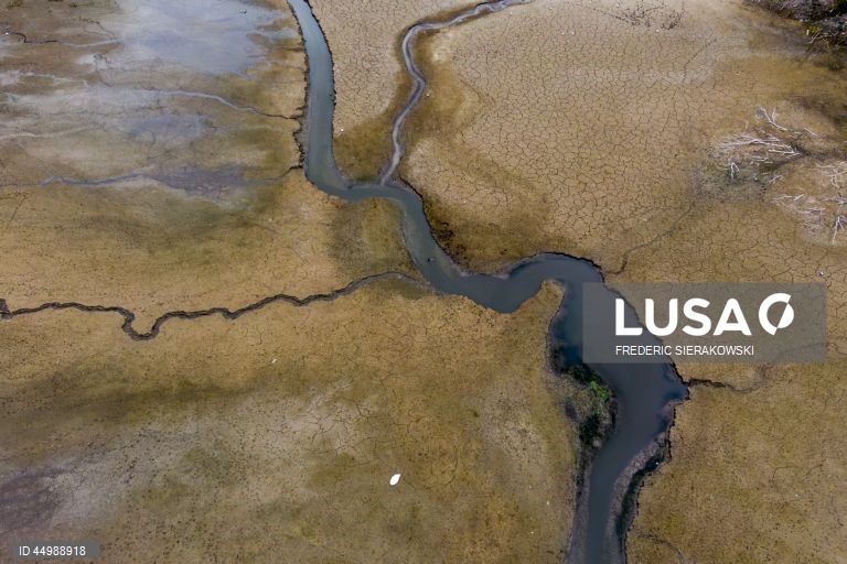 Bélgica: Lagos secos em Oud-Heverlee