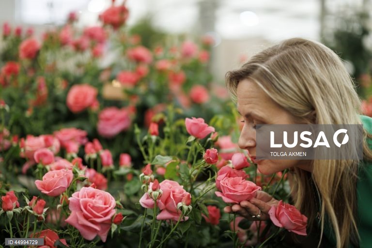 Reino Unido: Chelsea Flower Show 2025 