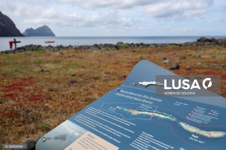 Visita à Reserva Natural das Ilhas Desertas, por ocasião do seu 35º aniversário, Madeira, 20 de maio de 2025. A Reserva Natural das Ilhas Desertas, com uma área total de 12.586 hectares, é delimitada pela batimétrica dos 100 metros e inclui todas as ilhas e ilhéus. As Ilhas Desertas compreendem três ilhas: Ilhéu Chão, Deserta Grande e Bugio. HOMEM DE GOUVEIA/LUSA