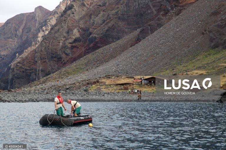 Visita à Reserva das Ilhas Desertas, por ocasião do seu 35º aniversário, Madeira, 20 de maio de 2025. A Reserva Natural das Ilhas Desertas, com uma área total de 12.586 hectares, é delimitada pela batimétrica dos 100 metros e inclui todas as ilhas e ilhéus. As Ilhas Desertas compreendem três ilhas: Ilhéu Chão, Deserta Grande e Bugio. HOMEM DE GOUVEIA/LUSA