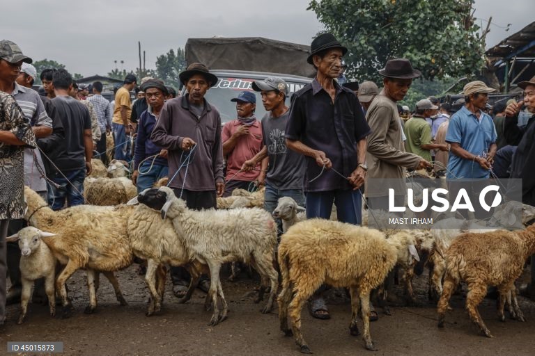 Indonésia: Preparativos para o Eid al-Adha em Bogor