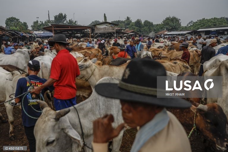 Indonésia: Preparativos para o Eid al-Adha em Bogor