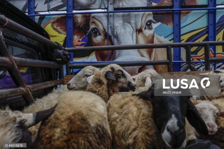 Indonésia: Preparativos para o Eid al-Adha em Bogor