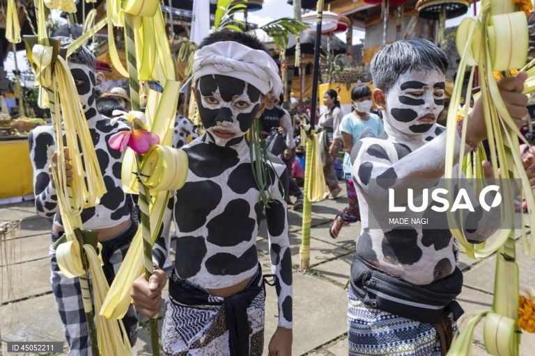 Indonésia: Habitantes locais celebram ritual sagrado Ngerebeg em Bali