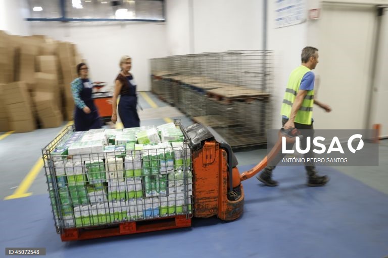 Voluntários em ação durante o início da campanha do Banco Alimentar Contra a Fome, em Lisboa, 31 de maio de 2025. Com o mote “A sua ajuda tem um nome: o nome de quem a vai receber”, a campanha apela ao contributo de todos os portugueses, que vão poder doar alimentos em mais de 2.000 superfícies comerciais espalhadas por todo o país. ANTÓNIO PEDRO SANTOS/LUSA