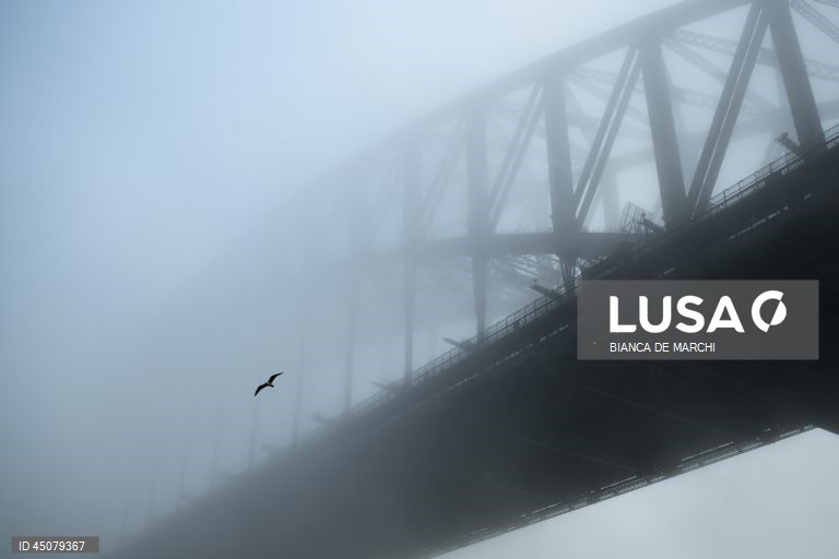 Austrália: Nevoeiro espesso cobre Sydney