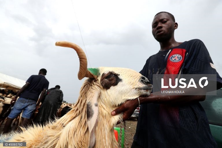 Islão: Celebrações do Dia do Sacrificio (Eid al-Adha)