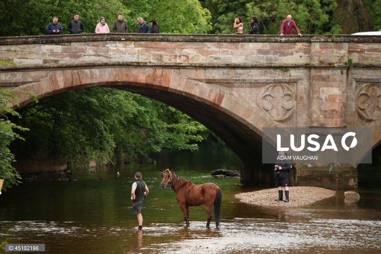 Reino Unido: Feira do Cavalo de Appleby