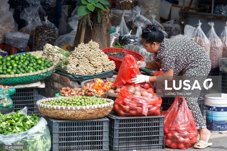 Vietname: Mercado tradicional em Hanoi