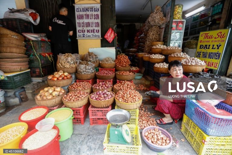 Vietname: Mercado tradicional em Hanoi