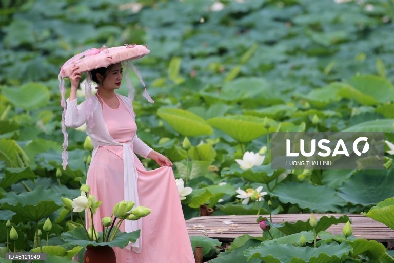 Época do lotus no Vietname