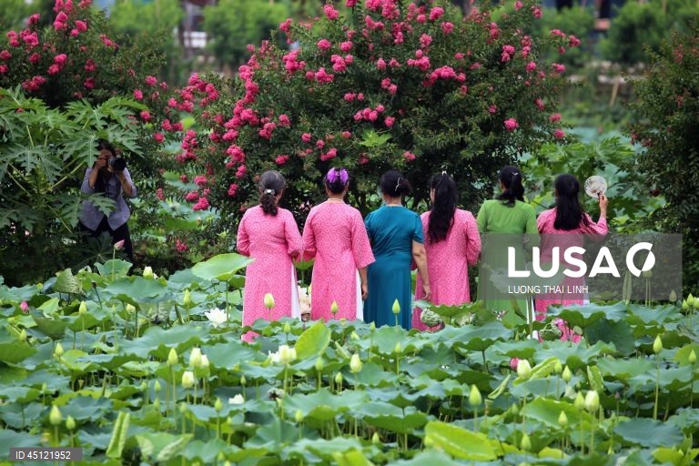 Época do lotus no Vietname