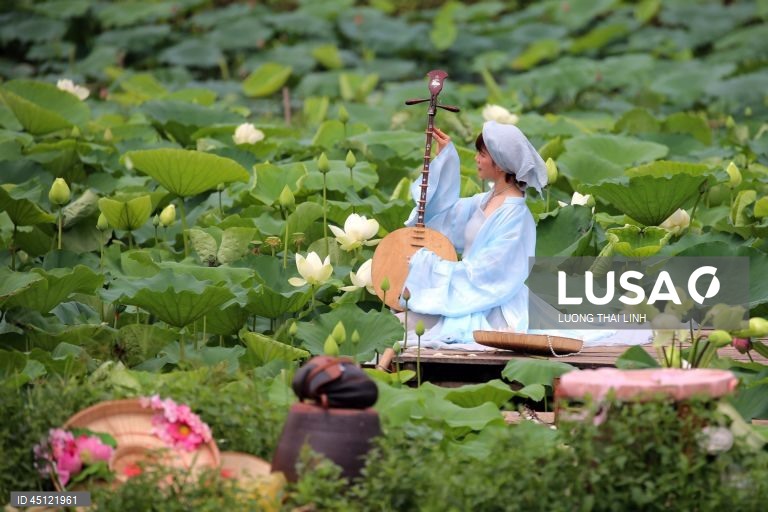 Época do lotus no Vietname